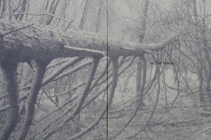 Book collaboration with poet Anna Robinson.