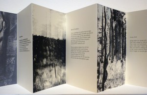 The Written Image, book detail copy